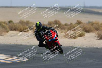 media/Mar-28-2022-Superbike Trackdays (Mon) [[b8603d0f67]]/Open Track Time/Turn 16/